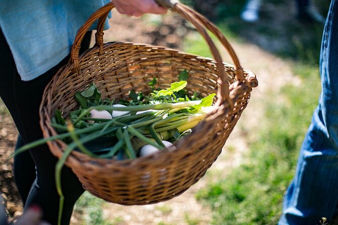 Traditional Cooking Class in Dubrovnik Countryside - The meal is the main event