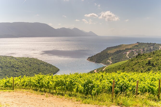 Transfer Dubrovnik to Split with Sightseeing in Ston Town - Is $295.20 per person a fair price?