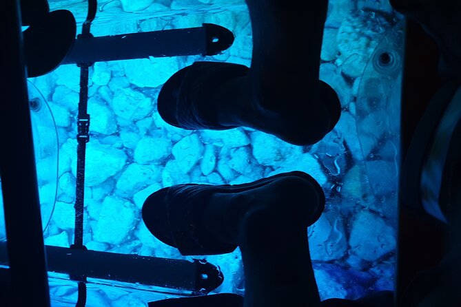Transparent Kayak Night Glow Experience from Pula - Is $62.91 a fair price?