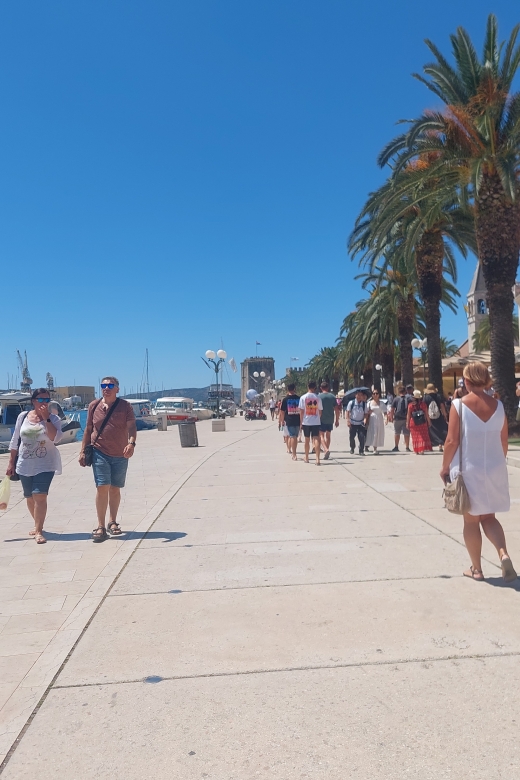 Trogir: City Highlights Guided Walking Tour - Is $17 a good value for 90 minutes?