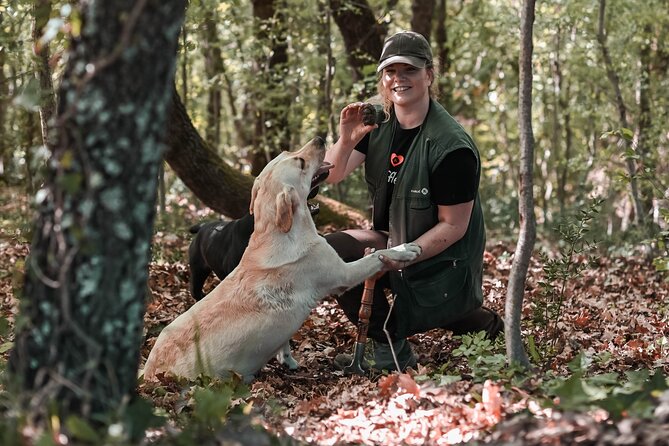 Truffle hunting & cooking tour - Why truffle hunting belongs on an Istria itinerary
