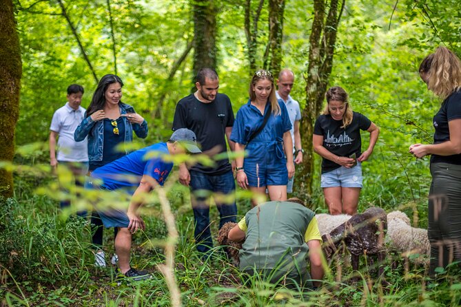 Truffle hunting & cooking tour - The three-course meal after the hunt