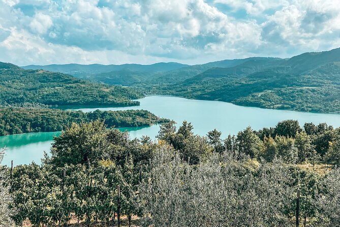 Truffle hunting & cooking tour - How authentic is the experience?