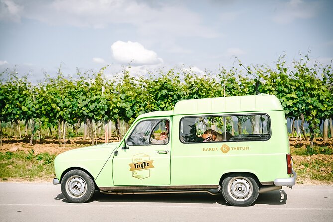 Truffle hunting & cooking tour - Daylight or night hunt?
