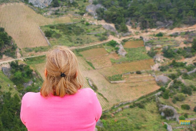 Twice the Wine - Two wineries half day tour, with delicacies - The guide can shape the whole afternoon