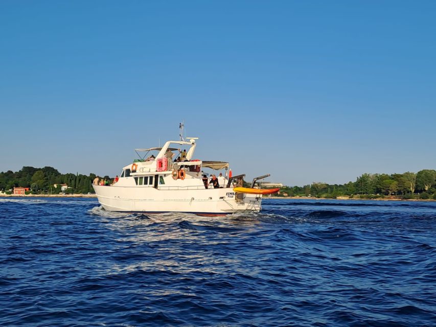 Umag: Sunset Cruise with Dolphin Spotting - Key Points Before You Book