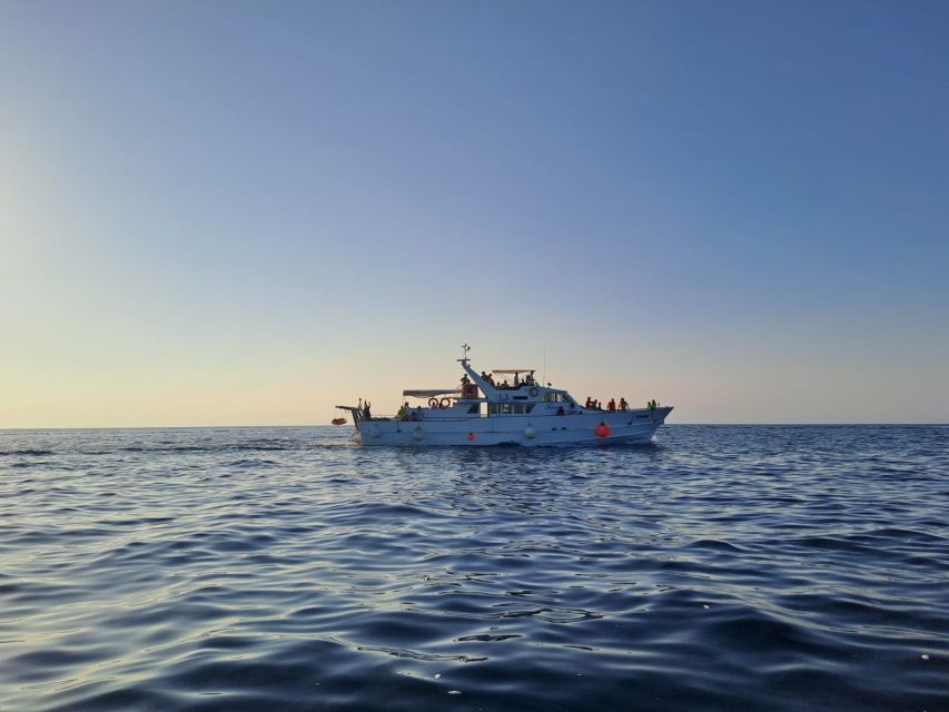 Umag: Sunset Cruise with Dolphin Spotting - Searching the Adriatic for Wild Dolphins
