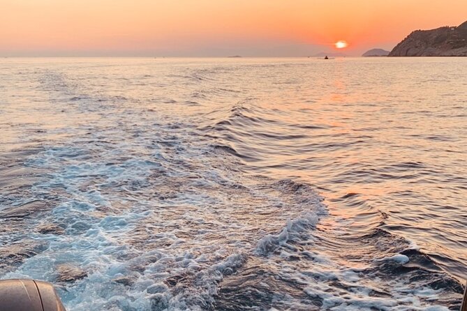 Visit magical Mljet Island with private speedboat - What the boat service is known for