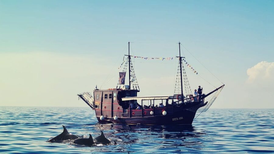 Vrsar: Dolphin Watching Boat Ride - The views of Vrsar from the sea