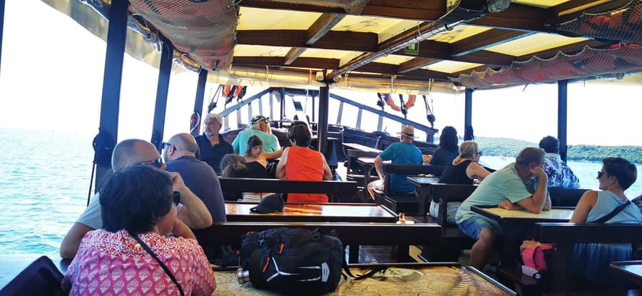 Vrsar: Dolphin Watching Boat Ride - Drinks, Istrian wine, and the mood on board