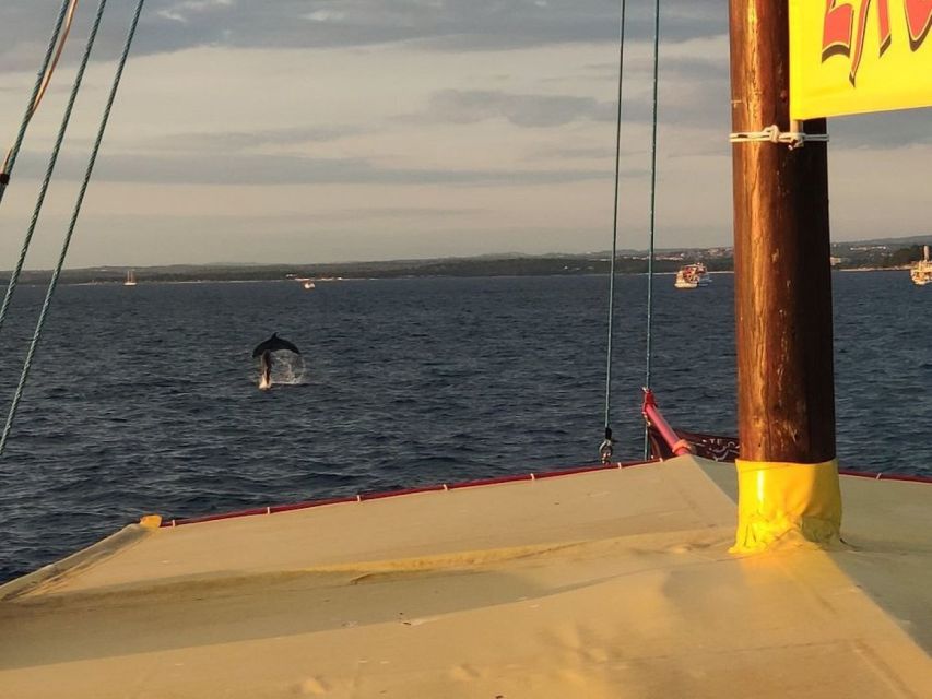 Vrsar: Dolphin Watching Boat Tour including Drinks - Practical tips for a smoother outing
