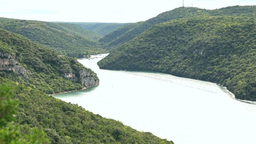 Vrsar: Lim Fjord Boat Tour with Swimming near Pirate's Cave - My call: book it for the water, not the pirate legend