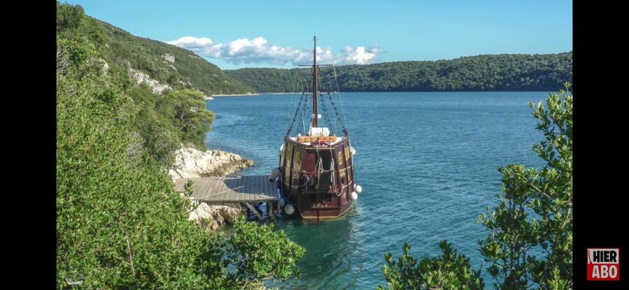 Vrsar: Lim Fjord Boat Tour with Swimming near Pirate's Cave - Who will enjoy this trip most