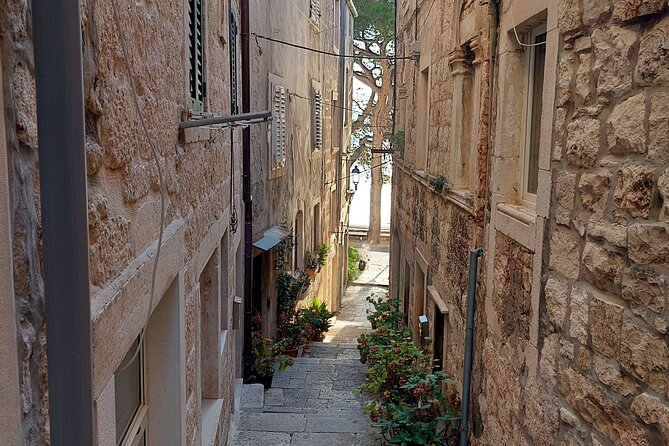 Walking Tour in old town Korcula 1 Hour - What the praise tells you about the guide