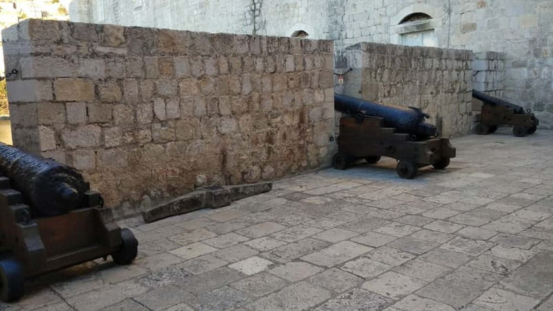 Walls of Dubrovnik: Small-Group 2-Hour Tour With a Local - Starting by Fort Revelin and the Old Harbor