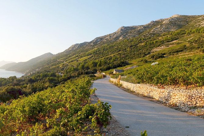 Wine Lover's Tour of Peljesac Peninsula - The scenic drive across the peninsula