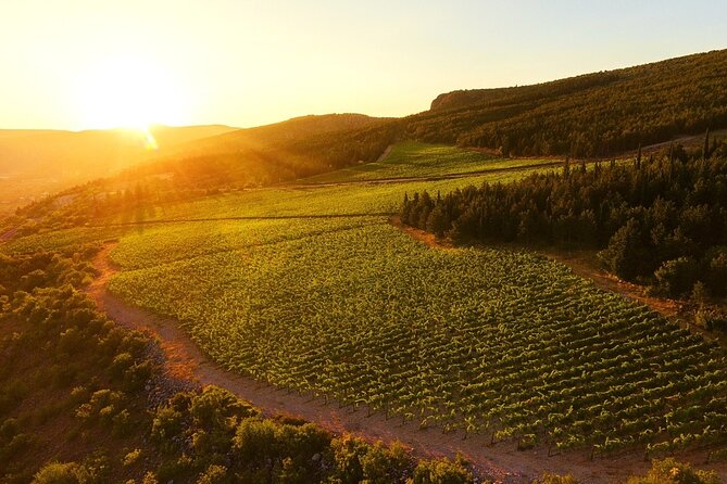 Wine Tasting Grabovac Tour From Makarska - Who will enjoy this tour most
