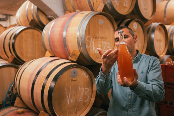 Wine Tasting Grabovac Tour From Makarska - The drive toward Grabovac Winery