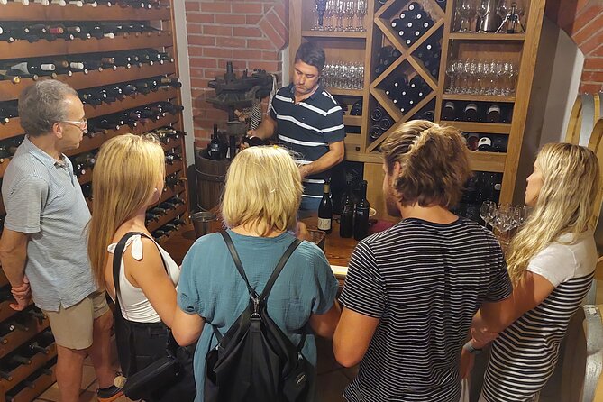 Wine tour Peljesac - Key points to know before booking
