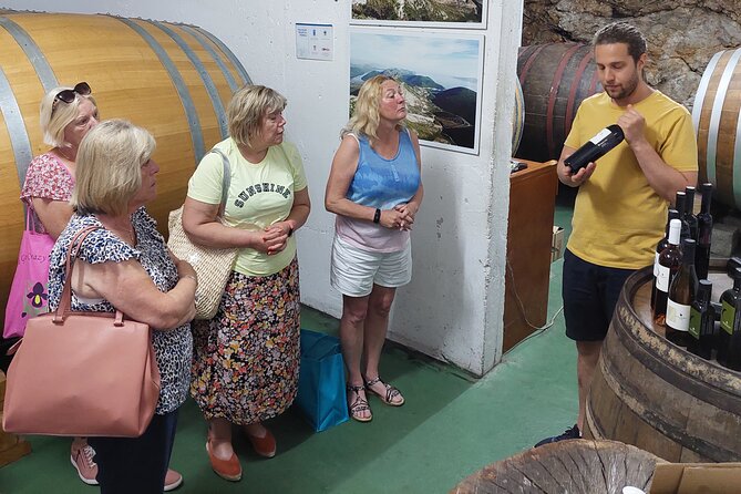 Wine tour Peljesac - Boljenovići Ponikve and a third family tradition