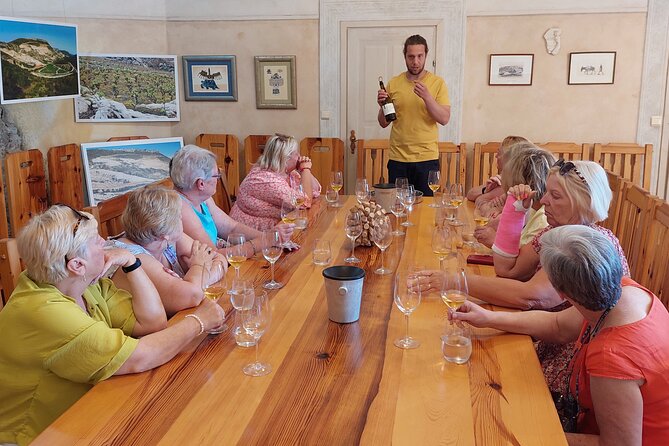 Wine tour Peljesac - Lunch, seafood, and the real cost of the day
