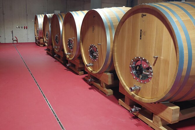 Wine tour Peljesac - Who will enjoy this Pelješac wine tour