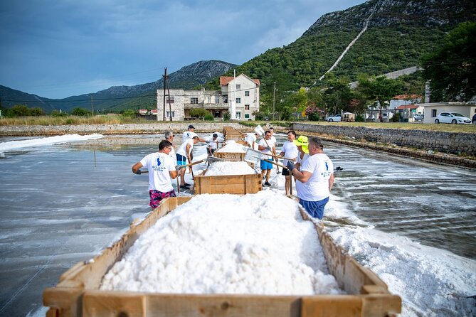 Wine tour peninsula Pelješac - Why Ston makes a smart stop from Dubrovnik