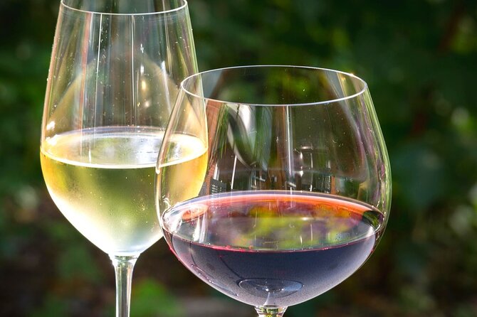 Wine tour peninsula Pelješac - Ston Salt Works: a short stop with a practical story