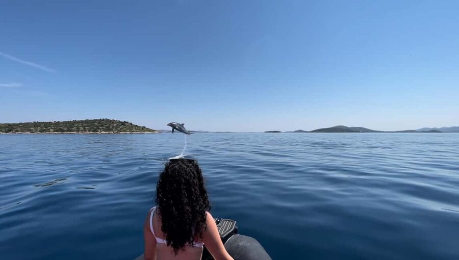 Zadar: 3-Island Speedboat Tour with Snorkeling and Drinks - Preko Adds Cafés, Walking, and Choice