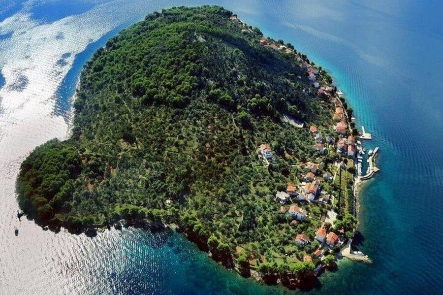 Zadar: 3 Islands SpeedBoat Tour with Snorkeling and Drinks - Who will enjoy this tour most