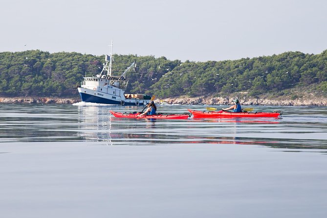 Zadar Archipelago 3 Islands Sea Kayaking Day Trip - The longer option for fit and experienced paddlers