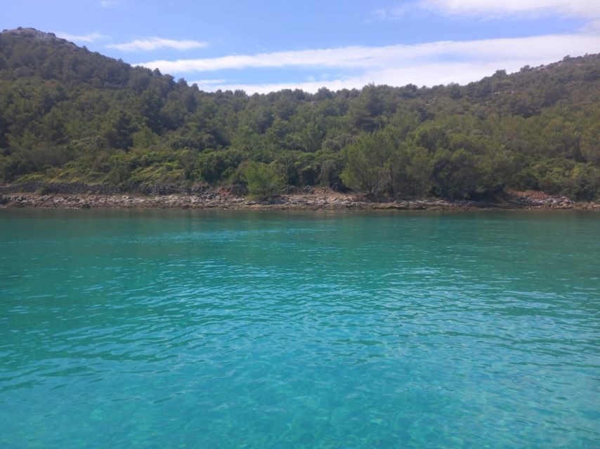 Zadar: Boat tour Half day -Private - Galevac and the island atmosphere