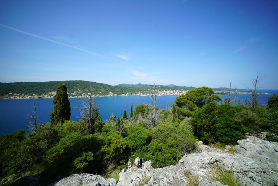 Zadar: Guided Tour to Ugljan, Osljak, & Galevac by Speedboat - Should you book the Zadar island speedboat tour?