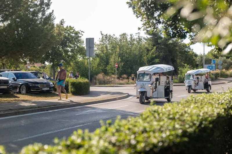 Zadar: Hidden Gems Eco Tuk Tuk Tour - The Sphinx of Zadar, a strange and memorable stop