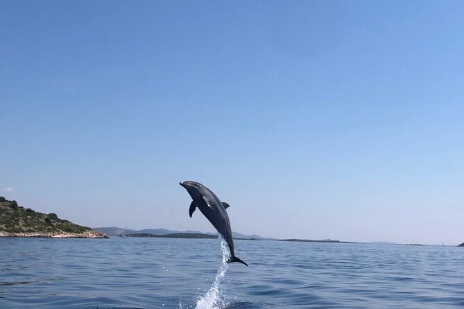Zadar: Island Luxury Speedboat Tour with Snorkeling - Preko: your hour for food and free time