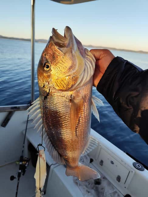 Zadar: Sunset Fishing Half-Day Guided Boat Trip - Who will enjoy this most