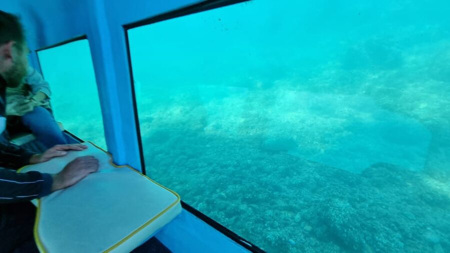 Zadar: Yellow Semi-Submarine Underwater Exploration Tour - What happens during the 45-minute cruise