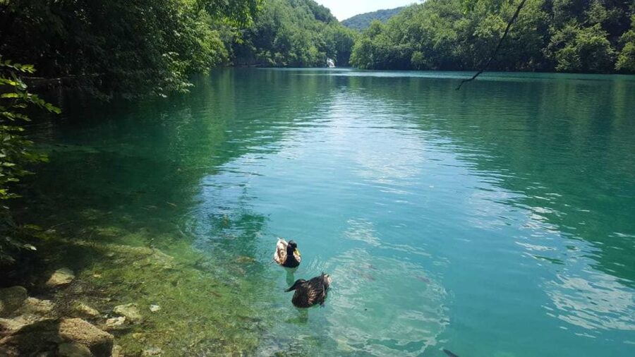 Zagreb to Split: Private Transfer with Plitvice Lakes - Seeing more by panoramic train